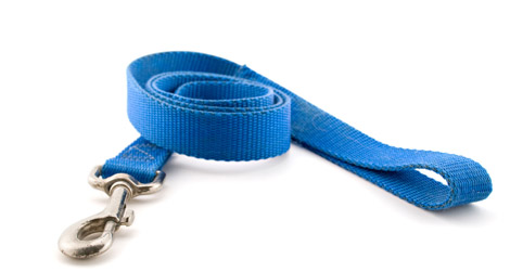 Hook-On Bungee Cord Straps