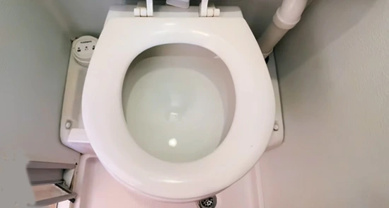 ow to Get Rid of Maggots in RV Toilet