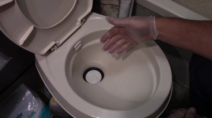 How to Get Rid of Maggots in RV Toilet : Do It in 5 Steps