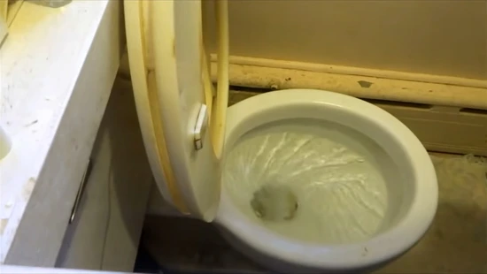 How Long Can You Leave an RV Toilet Without Flushing