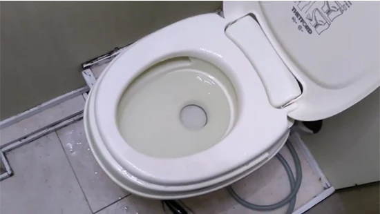 How to Clean RV Toilet Bowl with Cleaner